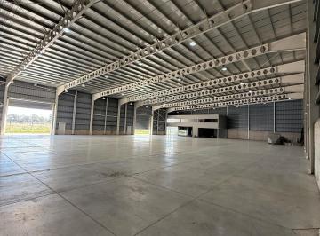 Almacén Nuevo 1